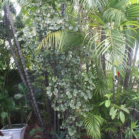 Caribbean Tourist Villa Port of Spain Exterior foto